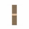 Magnetic Clasp iWatch Band - Gold - 42-44-45-49mm - Image 2